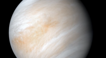 NASA's Mariner 10 spacecraft produced an image of Venus, which is about the size of Earth. Wrapped in dense, acidic clouds, Venus is intensely hot and has a crushing atmospheric pressure. A new study suggests that ammonia detected in the atmosphere could come from life forms in the clouds. (NASA/JPL)