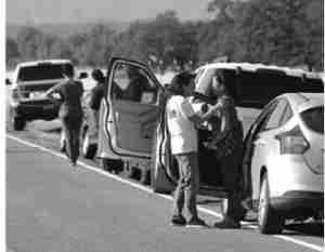 page0000006_high.jpg (15)