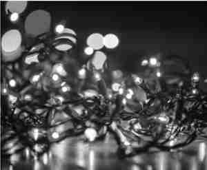 page0000006_high.jpg (24)