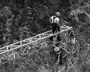 page0000006_high.jpg (28)