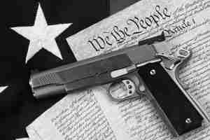 Gun and Constitution